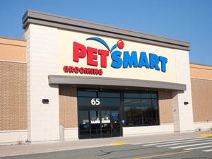 pet-food-retail-pop-floor-display