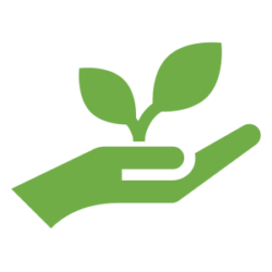 Sustainable Design Icon